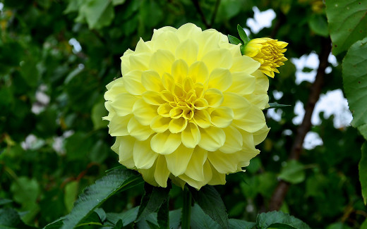579724 (a): :2560x1600